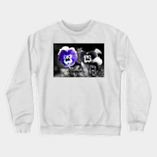 Blue Pansy Pansies Violas Summer Flowers Crewneck Sweatshirt